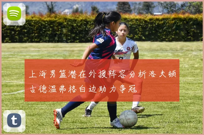 上海男篮潜在外援阵容分析洛夫顿古德温弗格白边助力争冠