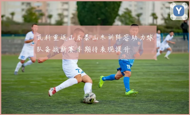 瓦科重返山东泰山冬训阵容助力球队备战新赛季期待表现提升