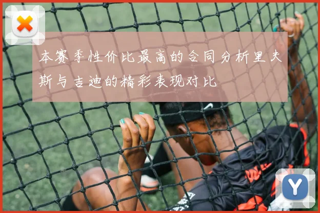 本赛季性价比最高的合同分析里夫斯与吉迪的精彩表现对比