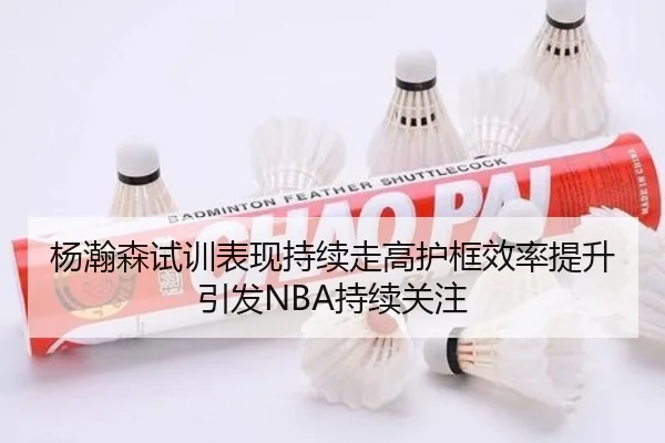 杨瀚森试训表现持续走高护框效率提升引发NBA持续关注（Leyu）